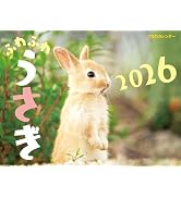 Amazon.co.jp: JTBのカレンダー ふわふわうさぎ 2026（壁掛け/月めくり